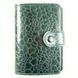 Визитница BRISK OFFICE BB-4 TORTUGA 90*100 мм (24 визитки) зеленая ВВ-4-4-T-ga-0312 фото