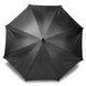 Зонт трость с деревянной ручкой, серебряно-черный V4239-03-AXL V4239-03-AXL фото