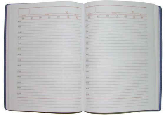 Ежедневник недатированный (линия) BRISK OFFICE ЗВ-43 MIRADUR А5(14,2х20,3) бордо ЗВ-43-72-M-0211 фото