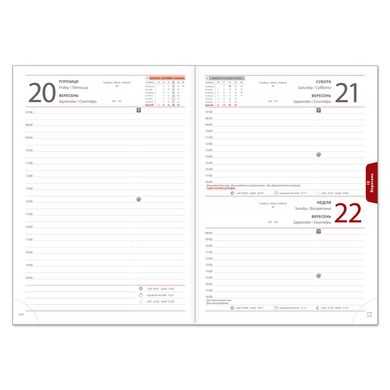 Ежедневник датированный 2023 BRISK OFFICE ЗВ-55 Butterfly А5(14,2х20,3)