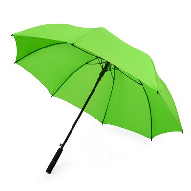 Зонтик-трость Odessa, зеленый 5003-60 фото