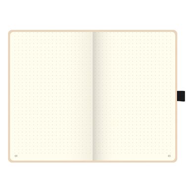 Книга записная А5 Brunnen Компаньон, металлического цвета, точка